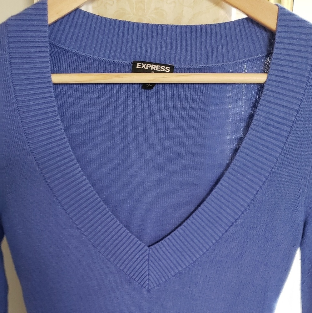 Express V neck sweater